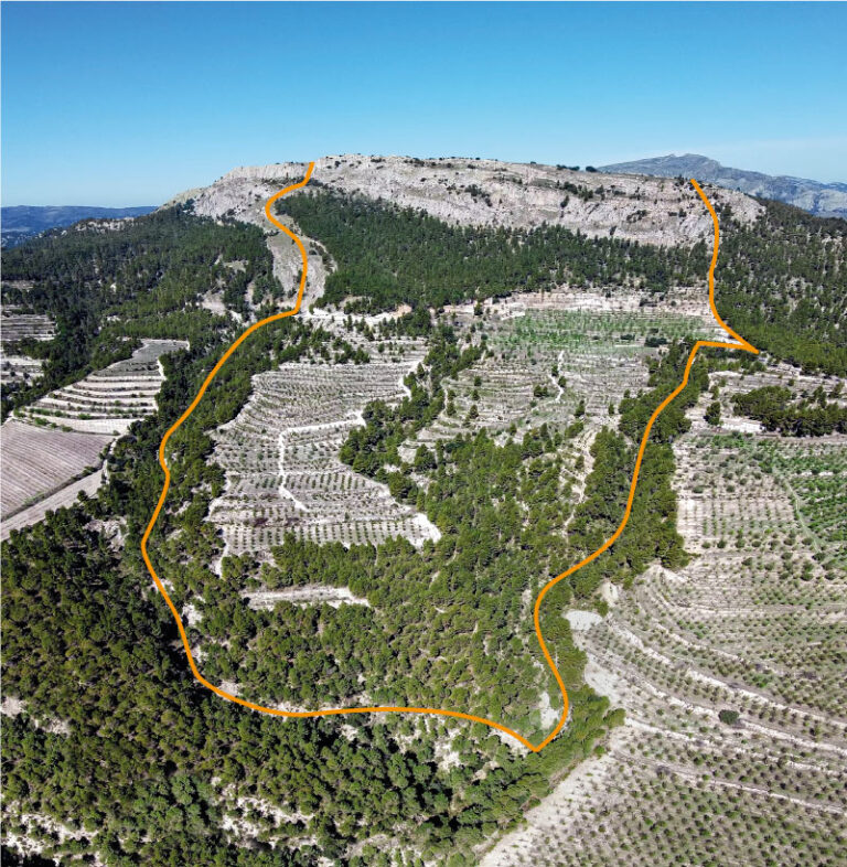 FINCA LES TORRETES - Casas rústicas en un lugar idilico