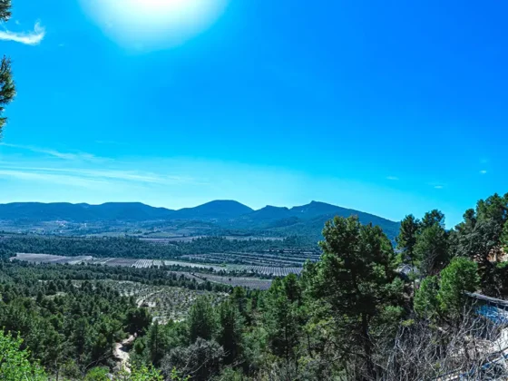 FINCA LES TORRETES