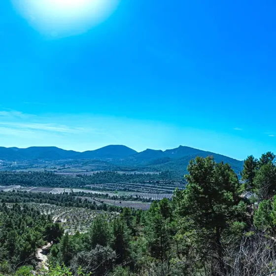 FINCA LES TORRETES
