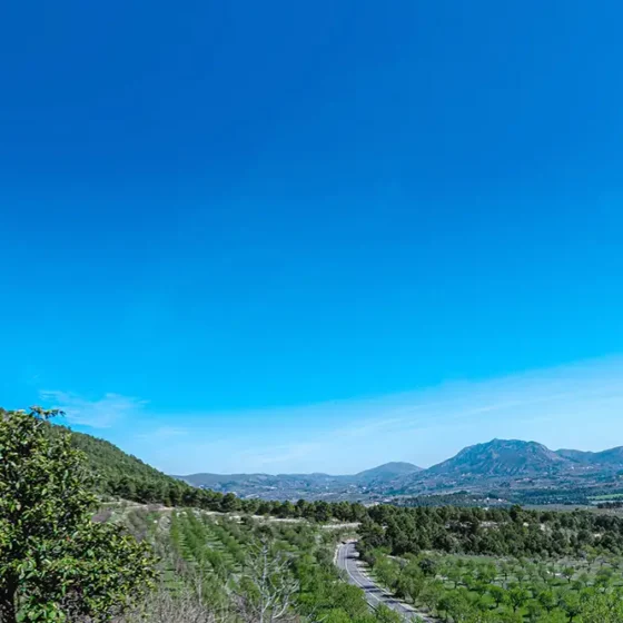 FINCA LES TORRETES