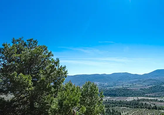 FINCA LES TORRETES
