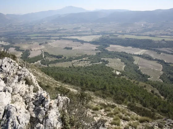 FINCA LES TORRETES