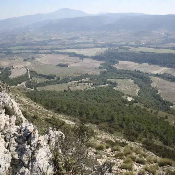 FINCA LES TORRETES