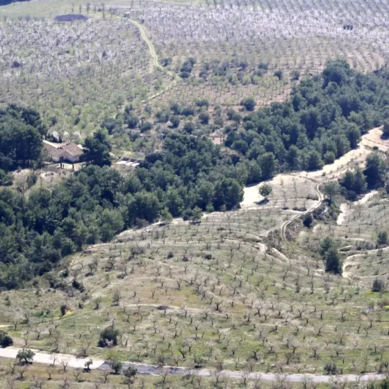FINCA LES TORRETES
