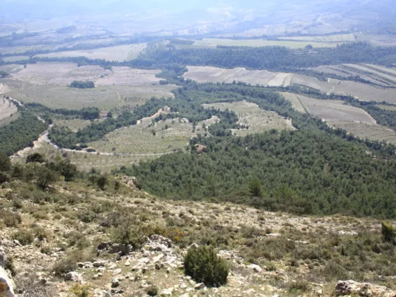 FINCA LES TORRETES