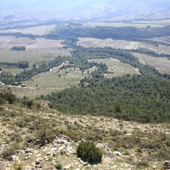 FINCA LES TORRETES
