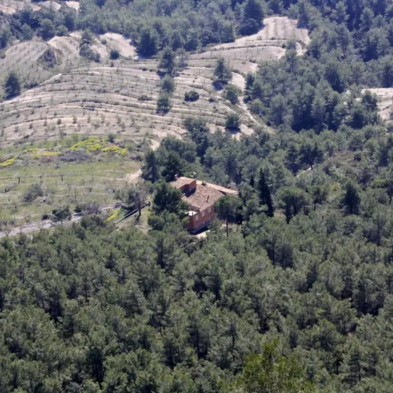 FINCA LES TORRETES
