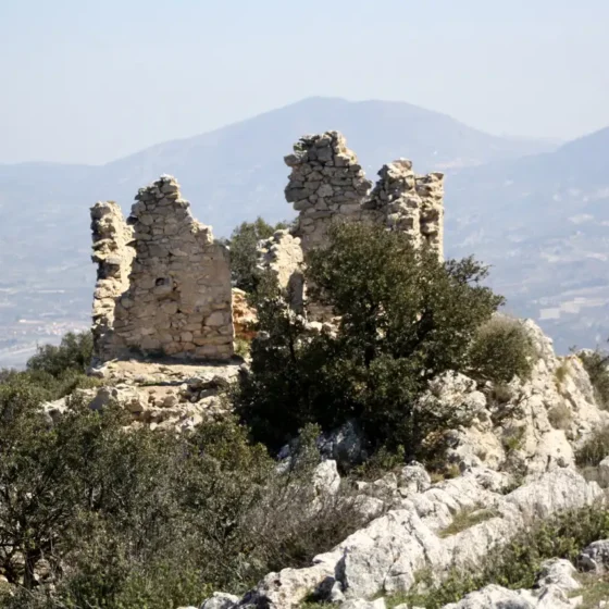 FINCA LES TORRETES