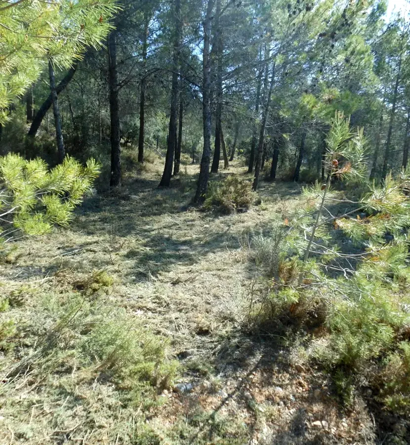 FINCA LES TORRETES