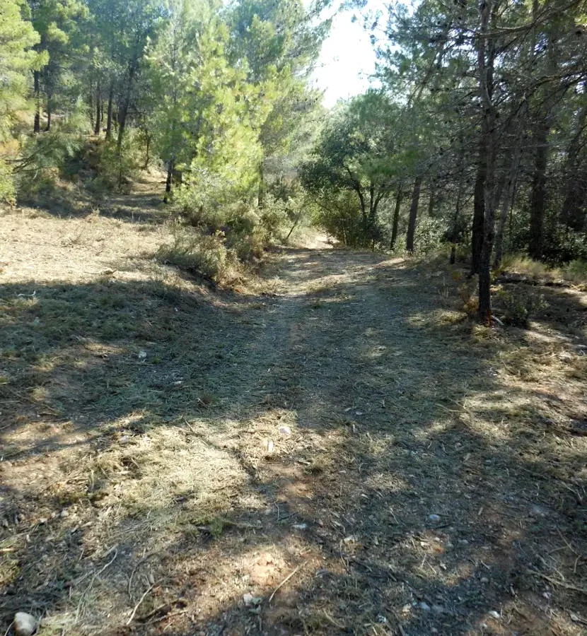 FINCA LES TORRETES