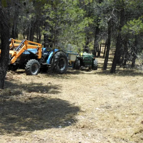 FINCA LES TORRETES