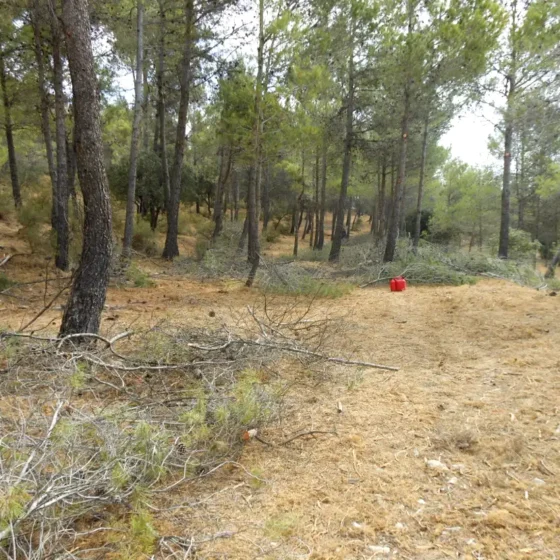 FINCA LES TORRETES