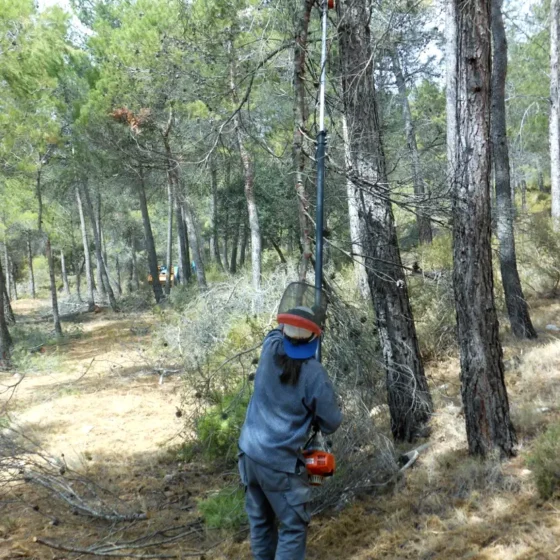 FINCA LES TORRETES
