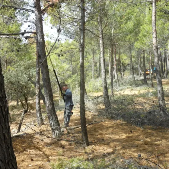 FINCA LES TORRETES