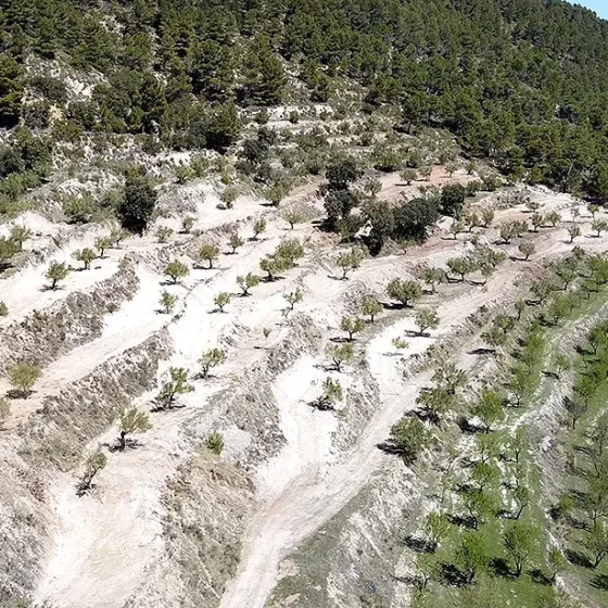 Finca Les Torretes