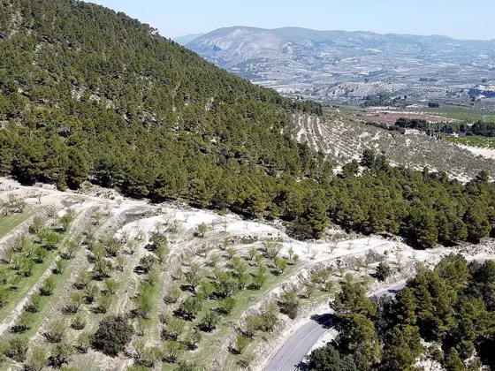 Finca Les Torretes