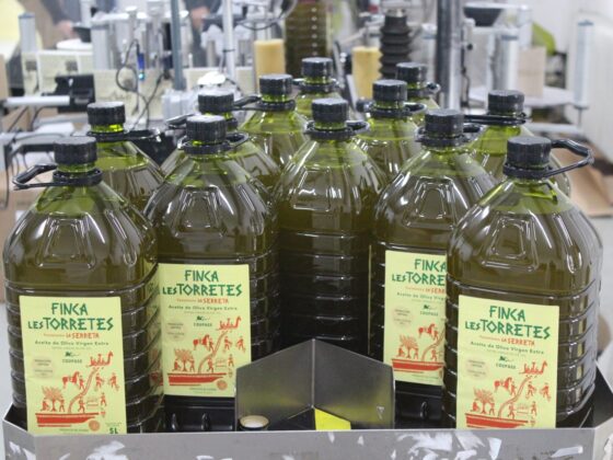 almazara finca les torretes